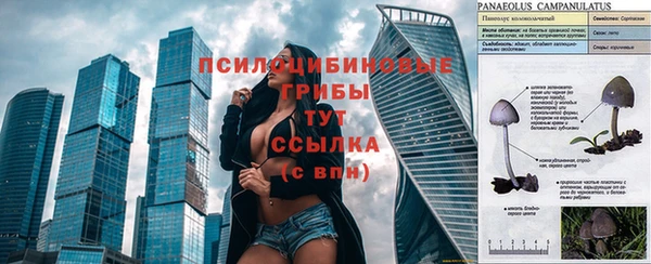 прущий лед Балабаново
