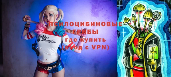 индика Беломорск