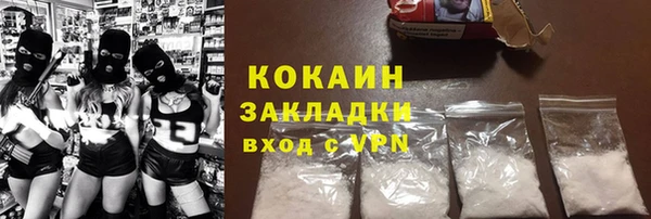 индика Беломорск