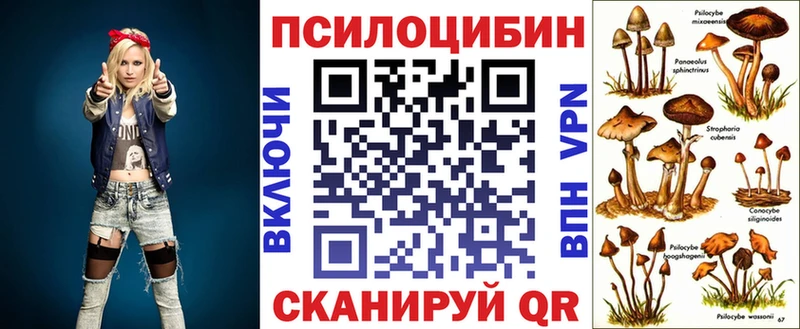 купить  цена  Дагестанские Огни  Псилоцибиновые грибы Psilocybe 